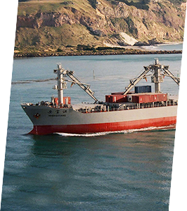 威客电竞·(中国)VK GAMING